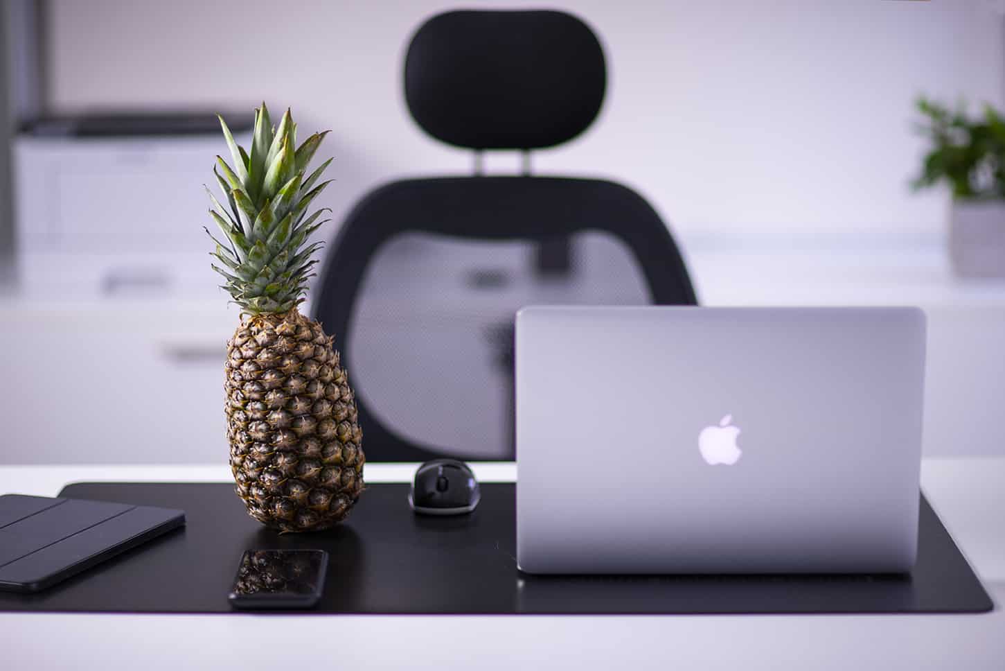 Colada Marketing Pineapple 72