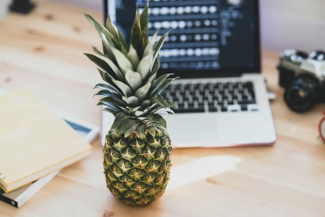 Website Development Pineapple